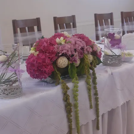 Inn U Holosia Osowiec (Kuyavian-Pomeranian)